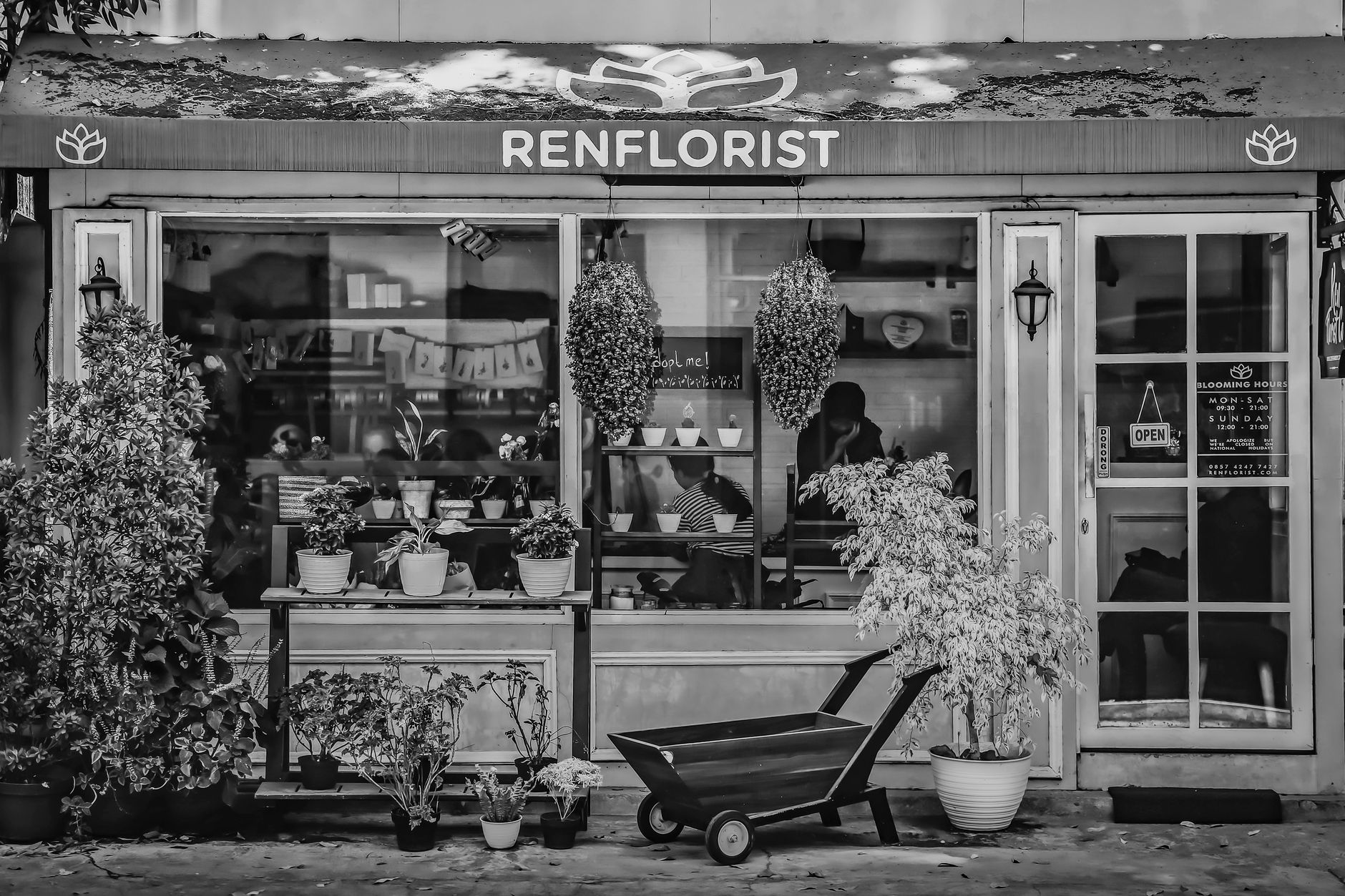 Fleuriste à Antony